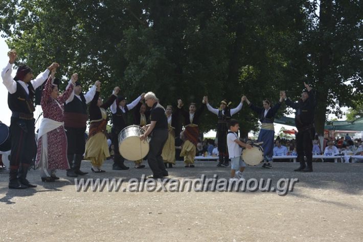 alexandriamou.gr_trikala28.5.2018017